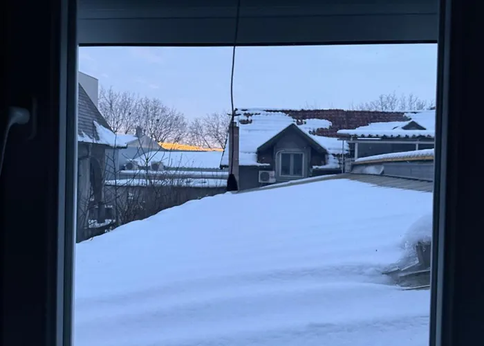 Lane Konukevi Belgrad